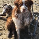 IMG 20191002 WA0006
