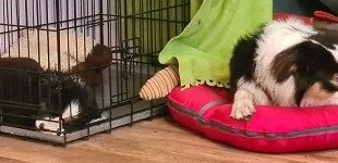 IMG 20201005 WA0004