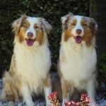 IMG 20201022 WA0020
