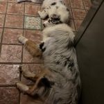 IMG 20201024 WA0021