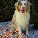 IMG 20201102 WA0016