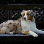 IMG 20201102 WA0018