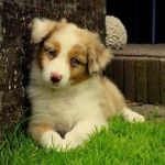 IMG 20201102 WA0021