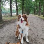 IMG 20201102 WA0032