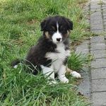 IMG 20201102 WA0047