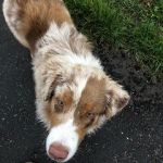 IMG 20201102 WA0051