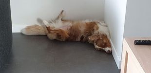 IMG 20201102 WA0052