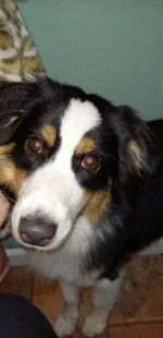IMG 20201102 WA0058