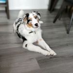 IMG 20201102 WA0072