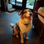 IMG 20201102 WA0073