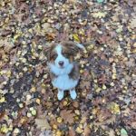IMG 20201102 WA0086