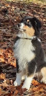 IMG 20201103 WA0023